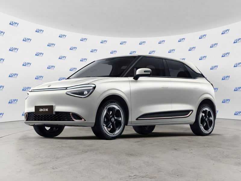Dongfeng Box Box 43,9 kWh nuova a Pistoia