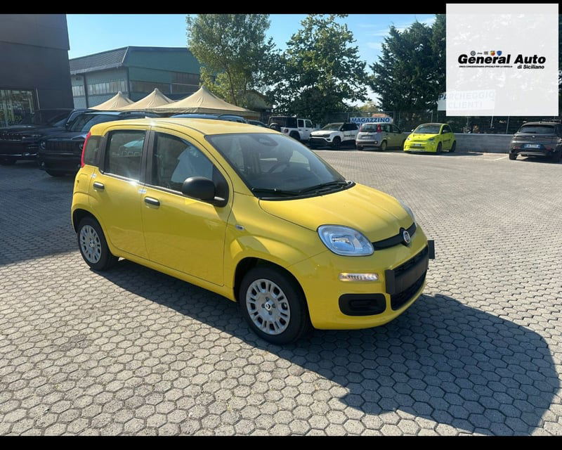 Fiat Panda 1.0 firefly hybrid s&s 70cv nuova a Massarosa