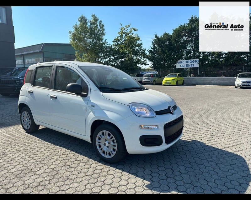 Fiat Panda 1.0 firefly hybrid s&s 70cv 5p.ti nuova a Massarosa