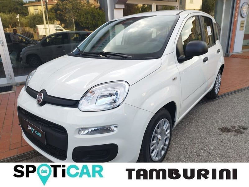 Fiat Panda 1.0 FireFly S&S Hybrid City Cross nuova a Cortona