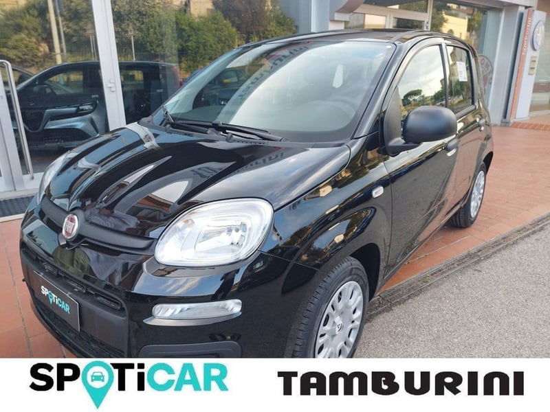Fiat Panda 1.0 FireFly S&S Hybrid City Cross nuova a Cortona