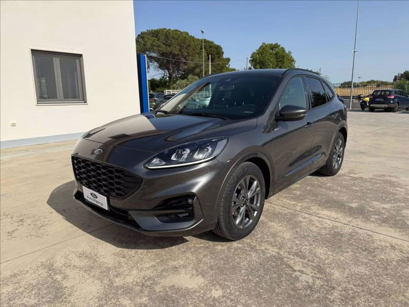 Ford Kuga 2.0 EcoBlue 120 CV aut. 2WD ST-Line X del 2024 usata a Matera