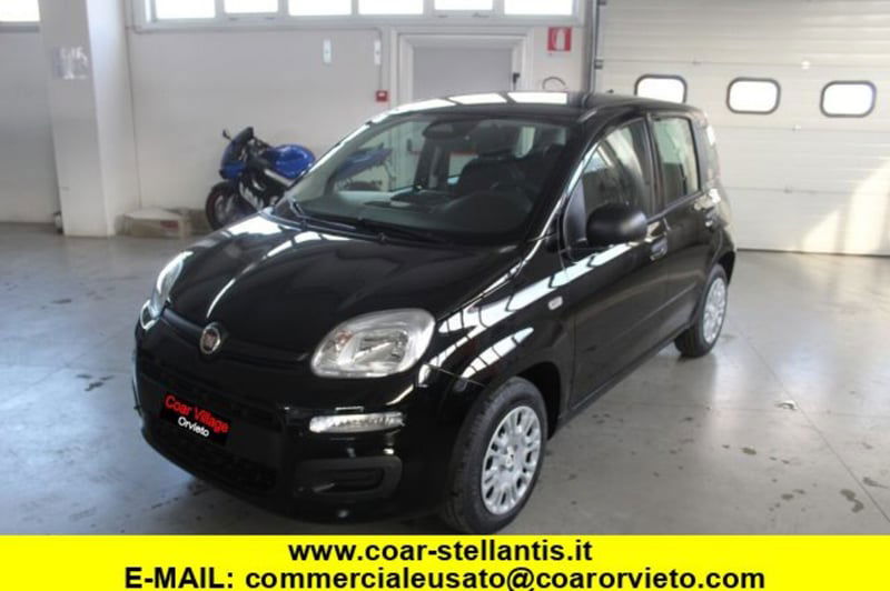 Fiat Panda 1.0 firefly hybrid s&s 70cv 5p.ti nuova a Orvieto