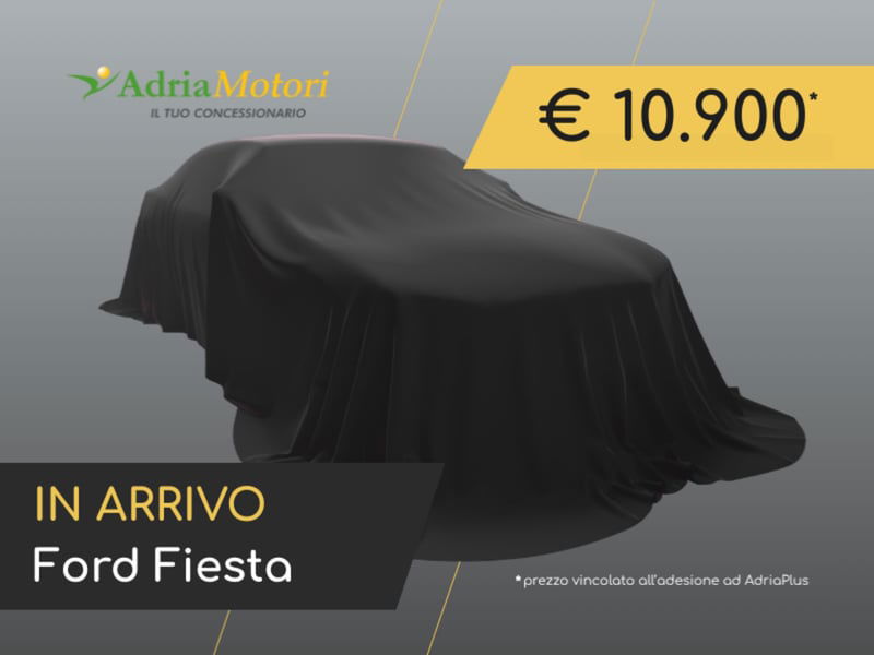 Ford Fiesta 1.0 Ecoboost Hybrid 125 CV 5 porte Titanium del 2022 usata a Pordenone