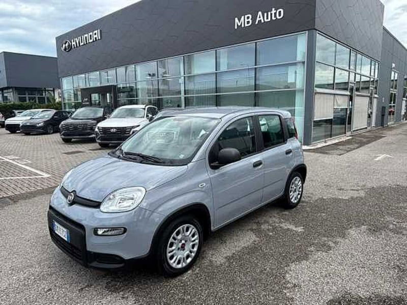 Fiat Panda 1.0 firefly hybrid Pop s&s 70cv del 2023 usata a Empoli