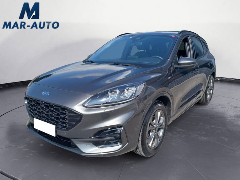 Ford Kuga 2.0 EcoBlue 190 CV aut. AWD Vignale del 2020 usata a Belluno