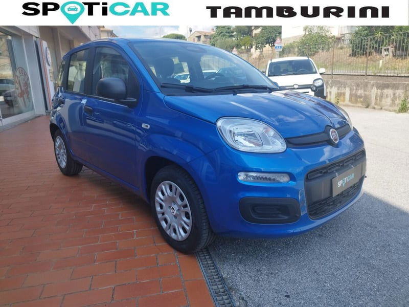 Fiat Panda 1.0 FireFly S&S Hybrid City Cross nuova a Cortona
