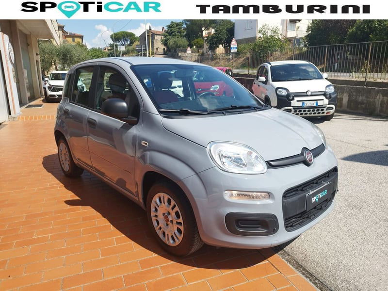 Fiat Panda 1.2 EasyPower Easy del 2017 usata a Cortona