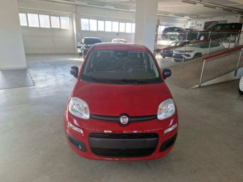 Fiat Panda 1.0 firefly hybrid s&s 70cv 5p.ti nuova a Orvieto