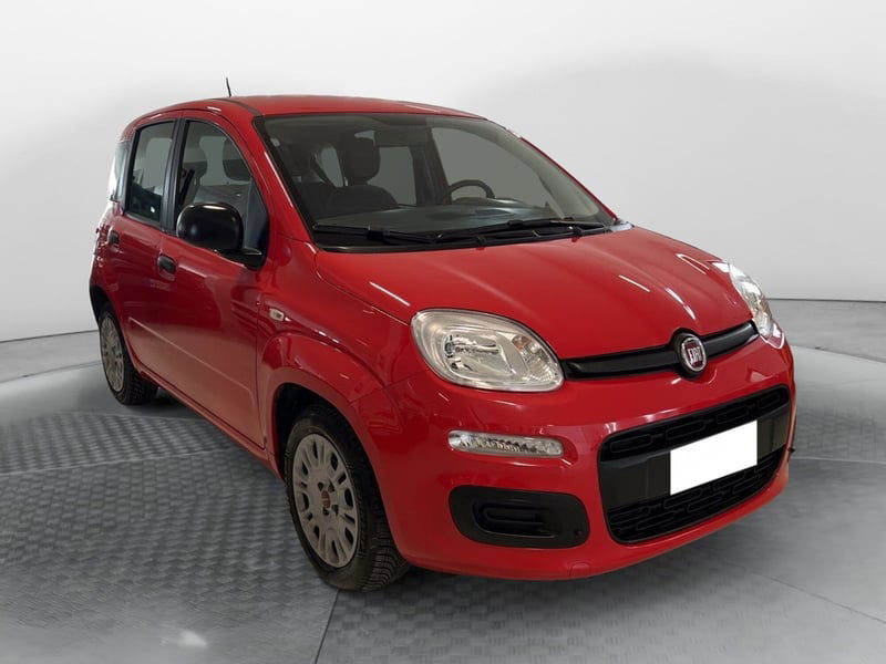 Fiat Panda 1.0 FireFly S&S Hybrid Easy del 2021 usata a Ponsacco