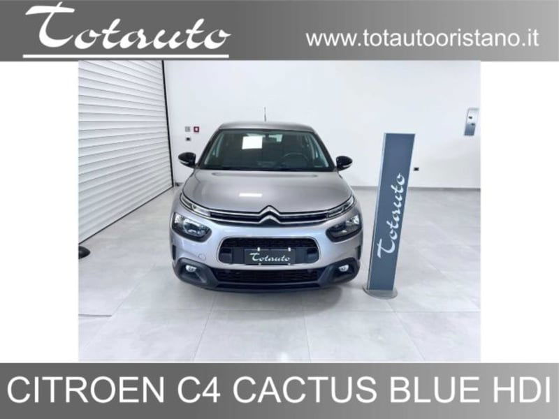 Citroen C4 Cactus BlueHDi 100 S&S Feel Pack del 2020 usata a Ghilarza