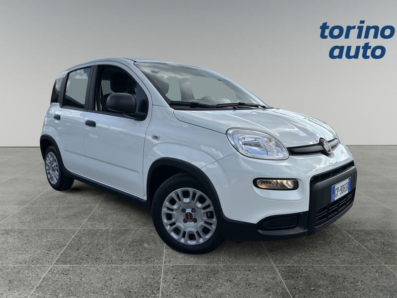 Fiat Panda Cross Cross 1.0 FireFly S&S Hybrid del 2023 usata a Torino