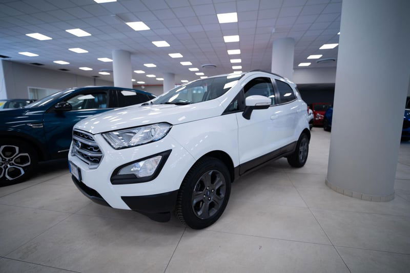 Ford EcoSport 1.0 EcoBoost 125 CV Titanium del 2018 usata a Rivoli