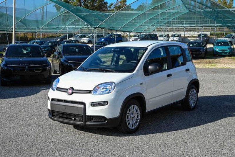 Fiat Panda 1.0 firefly hybrid s&s 70cv 5p.ti nuova a Pianezza