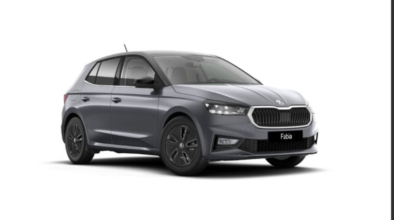 Skoda Fabia 1.0 TSI EVO 95 CV Style nuova a Catanzaro