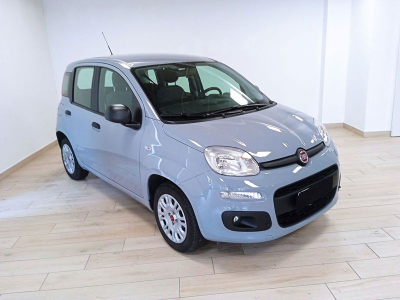 Fiat Panda 1.2 EasyPower del 2022 usata a Moncalieri Fiat Panda 1.2 EasyPower del 2022 usata a Moncalieri