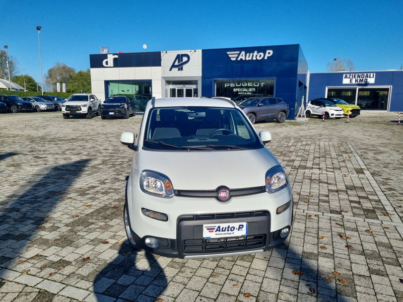Fiat Panda 1.0 FireFly S&S Hybrid City Cross del 2023 usata a Lucca