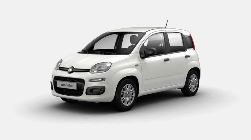 Fiat Panda 1.0 firefly hybrid s&s 70cv 5p.ti nuova a Sinalunga