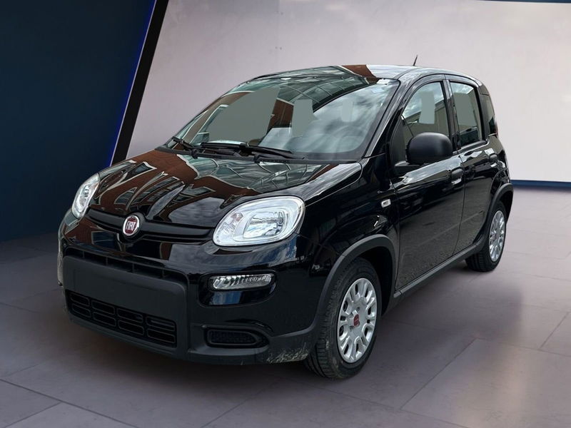 Fiat Panda 1.0 firefly hybrid s&s 70cv 5p.ti nuova a Salerno