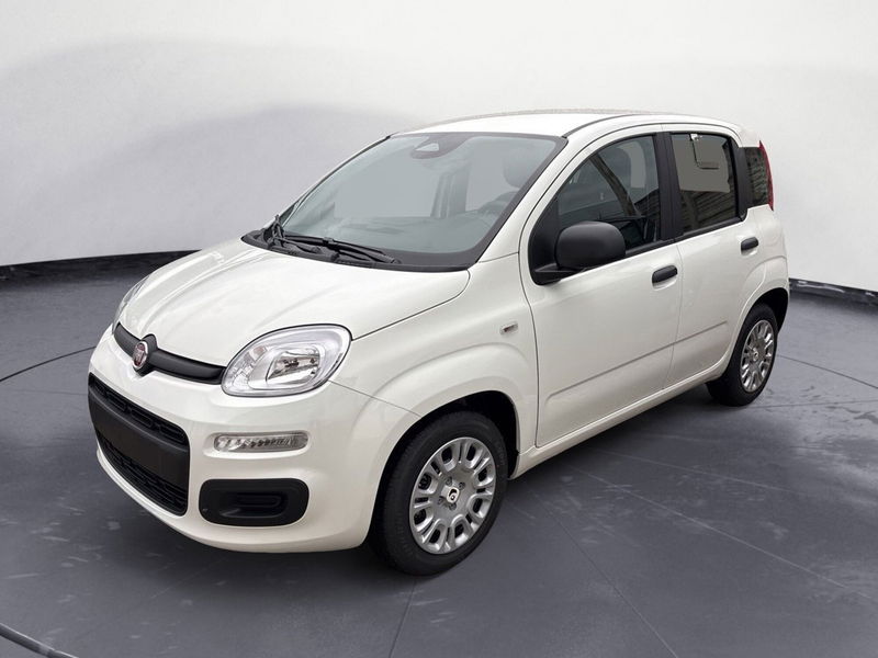 Fiat Panda 1.0 firefly hybrid Icon s&s 70cv nuova a Agrigento