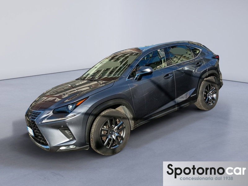 Lexus NX Hybrid 4WD Business del 2020 usata a Sesto San Giovanni