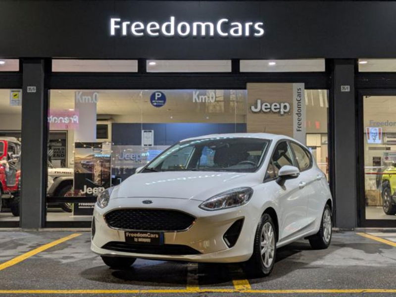 Ford Fiesta 1.1 75 CV GPL 5 porte Plus del 2019 usata a Parma