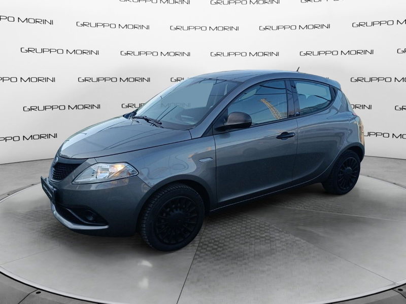 Lancia Ypsilon 1.2 69 CV 5 porte S&S Elefantino Blu del 2019 usata a Imola