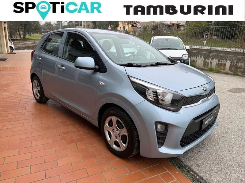 Kia Picanto 1.0 12V 5 porte Active del 2018 usata a Cortona
