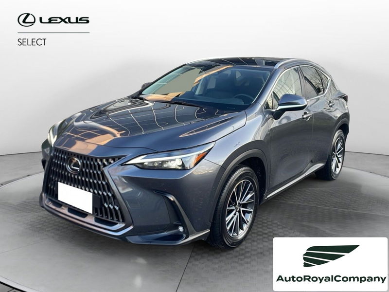 Lexus NX Hybrid 4WD Premium del 2023 usata a Roma