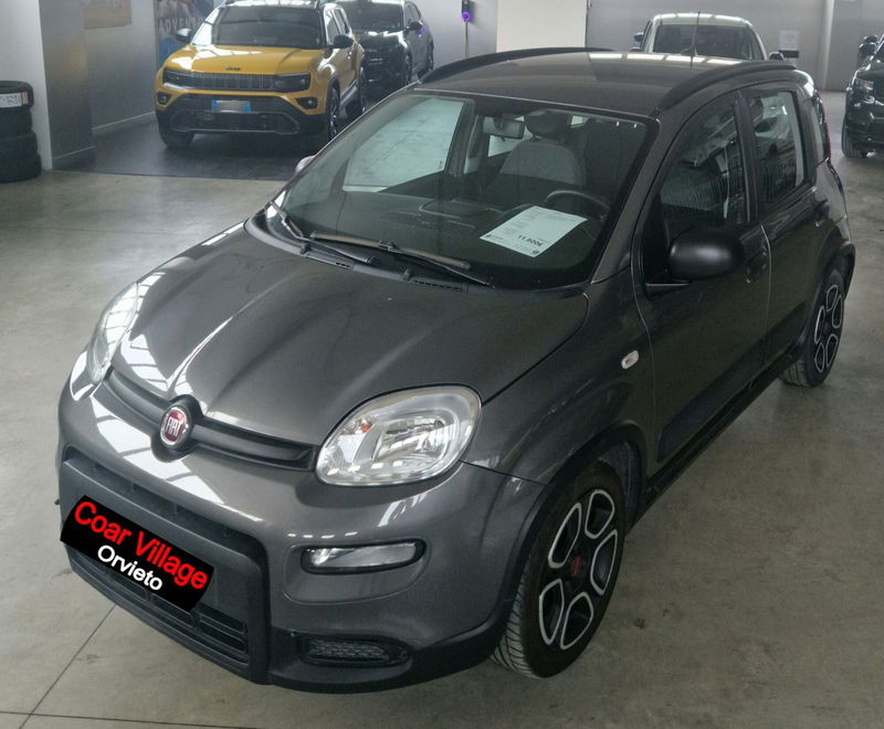Fiat Panda 1.0 firefly hybrid s&s 70cv 5p.ti del 2021 usata a Orvieto