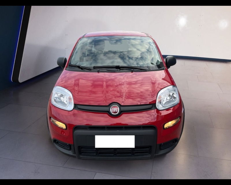 Fiat Panda 1.0 firefly hybrid s&s 70cv del 2024 usata a Torino