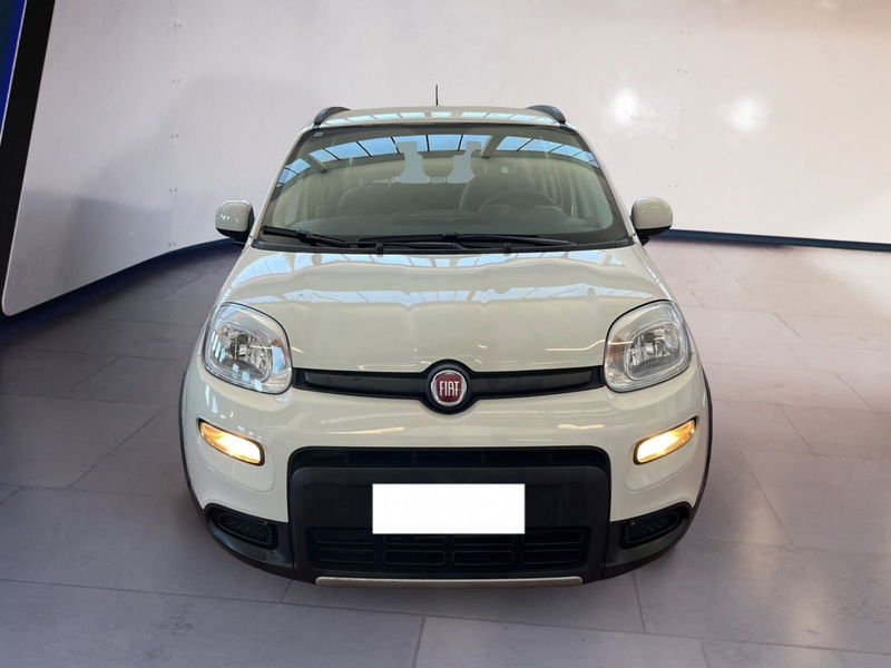 Fiat Panda 1.0 firefly hybrid s&s 70cv 5p.ti del 2022 usata a Torino