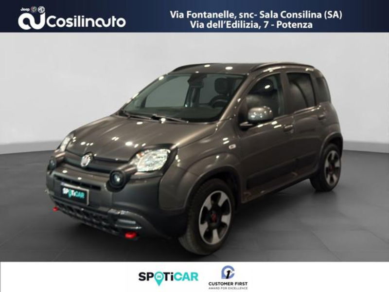 Fiat Panda Cross 1.0 firefly hybrid Cross s&s 70cv 5p.ti del 2023 usata a Sala Consilina