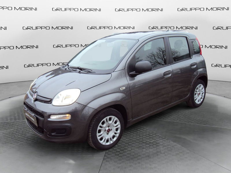 Fiat Panda 1.2 Pop del 2018 usata a Imola