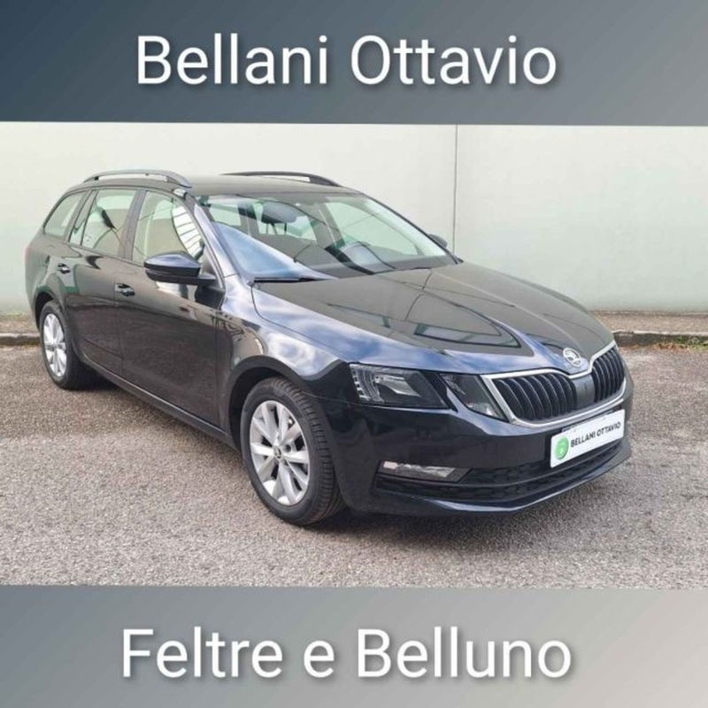Skoda Octavia Station Wagon 1.6 TDI SCR 115 CV Wagon Executive del 2019 usata a Feltre