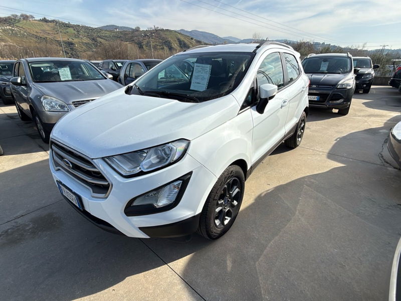 Ford EcoSport 1.0 EcoBoost 125 CV Start&Stop Business del 2018 usata a Rende
