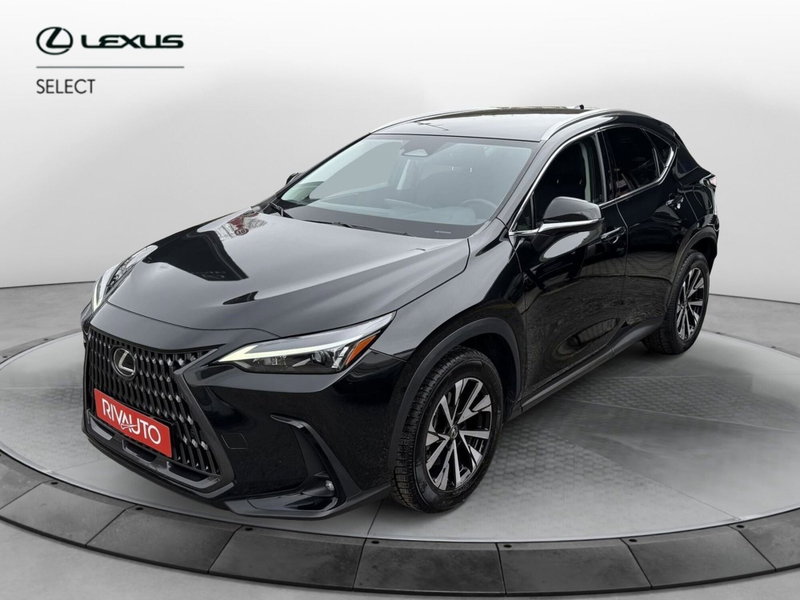Lexus NX Hybrid 4WD Premium del 2022 usata a Como