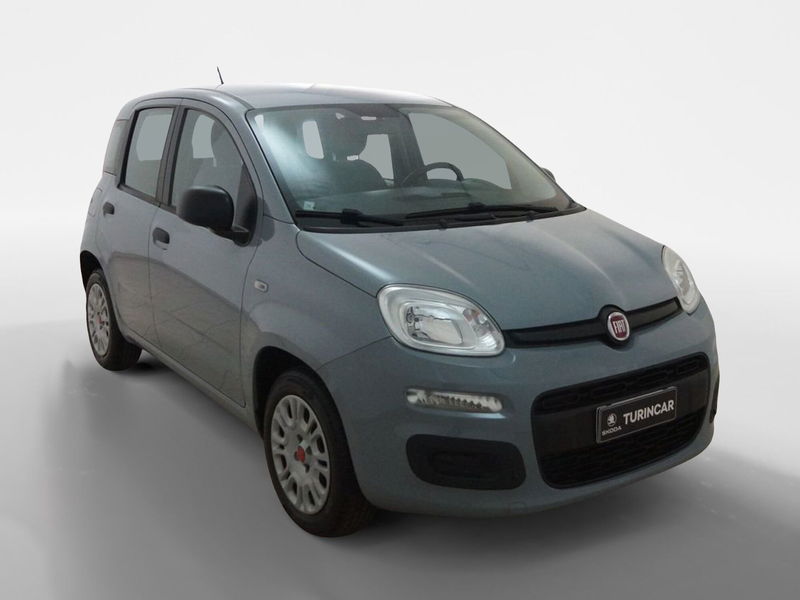 Fiat Panda 1.2 Easy del 2019 usata a Torino