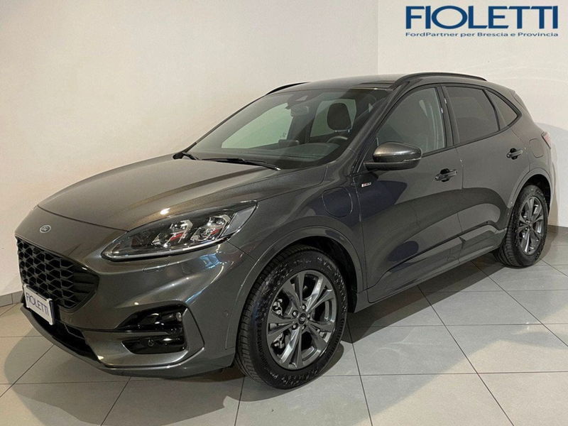 Ford Kuga 2.5 Full Hybrid 190 CV CVT 2WD ST-Line Design del 2023 usata a Concesio