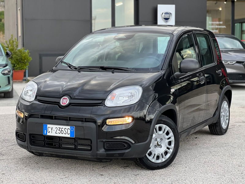 Fiat Panda Cross Cross 1.0 FireFly S&S Hybrid nuova a Matera