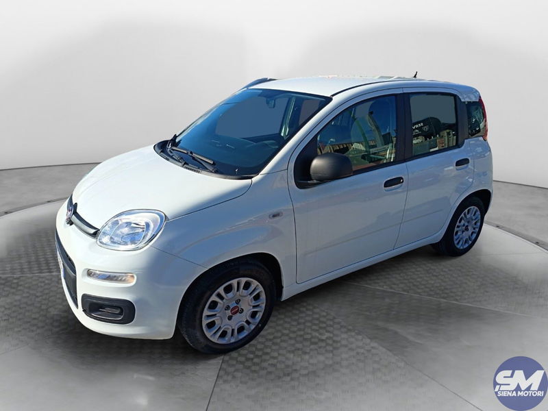 Fiat Panda Cross Cross 1.0 FireFly S&S Hybrid del 2021 usata a Siena