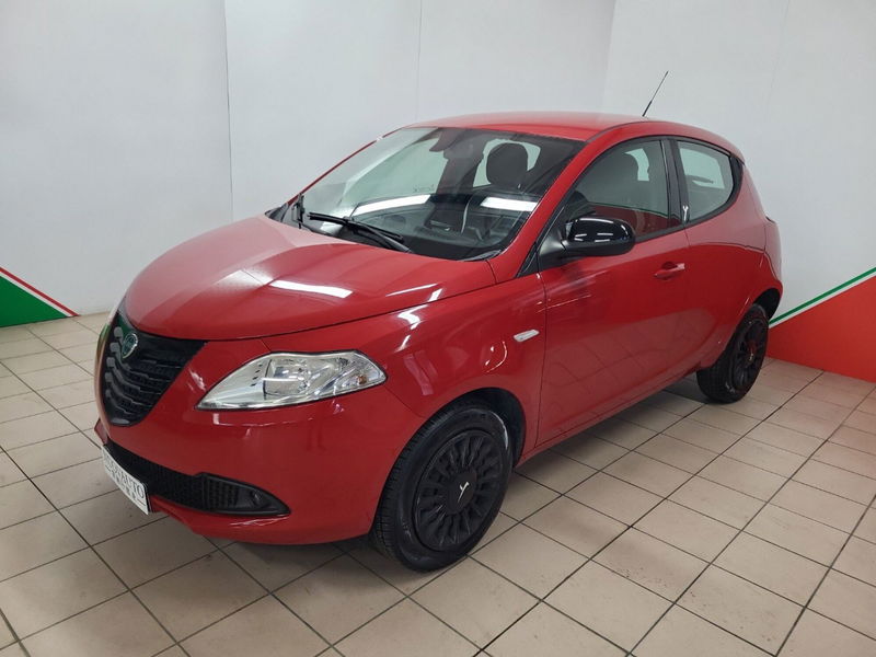 Lancia Ypsilon 0.9 TwinAir 85 CV 5 porte Metano Ecochic Elefantino del 2014 usata a Terranuova Bracciolini