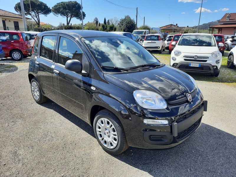 Fiat Panda 1.0 firefly hybrid Icon s&s 70cv nuova a La Spezia