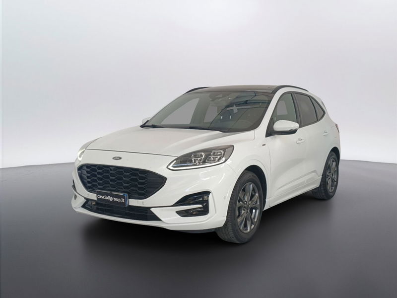Ford Kuga 1.5 EcoBlue 120 CV aut. 2WD ST-Line X Design del 2021 usata a San Benedetto del Tronto