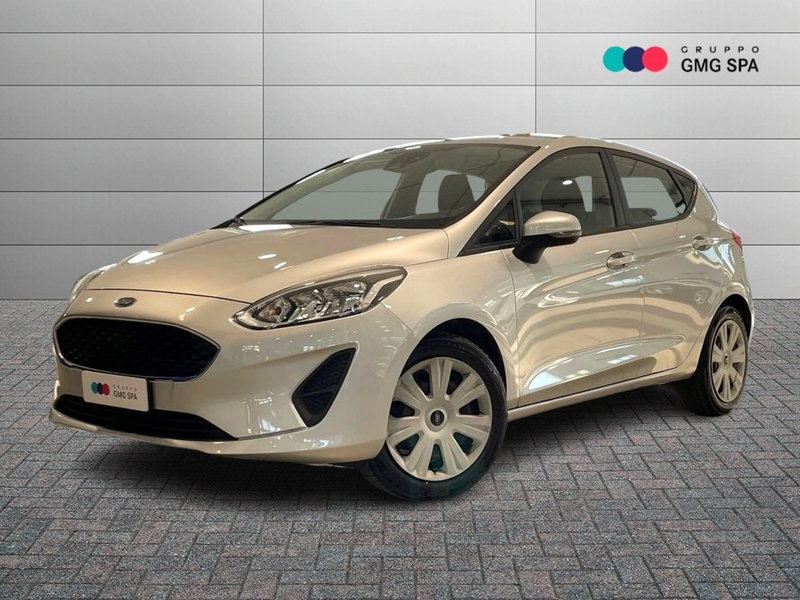 Ford Fiesta 1.5 TDCi 5 porte Vignale del 2018 usata a Pistoia