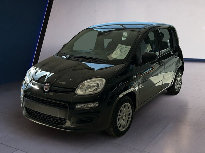 Fiat Panda 1.0 firefly hybrid Icon s&s 70cv nuova a Arezzo