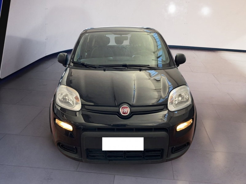 Fiat Panda 1.0 firefly hybrid s&s 70cv 5p.ti del 2023 usata a Torino