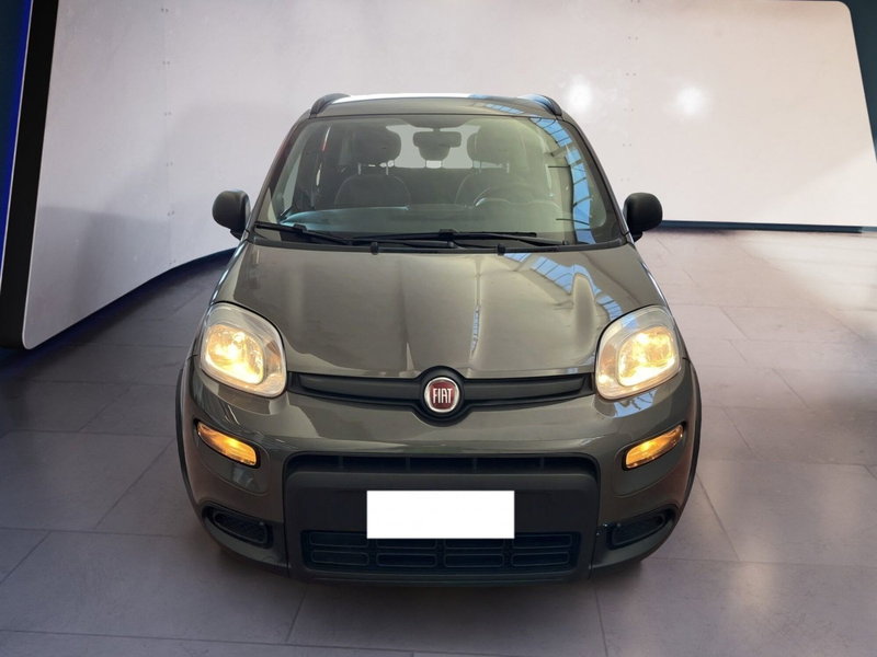 Fiat Panda 1.0 FireFly S&S Hybrid City Cross del 2021 usata a Torino