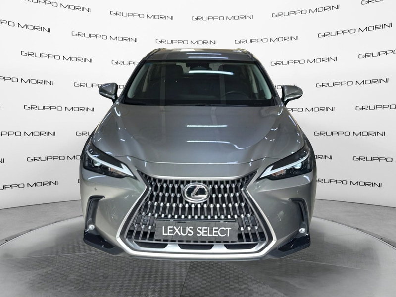Lexus NX 350h 2.5 Business 2wd e-cvt del 2024 usata a San Lazzaro di Savena