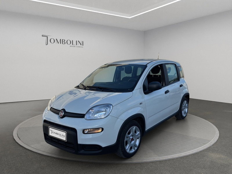 Fiat Panda Cross Cross 1.0 FireFly S&S Hybrid del 2024 usata a Civitanova Marche